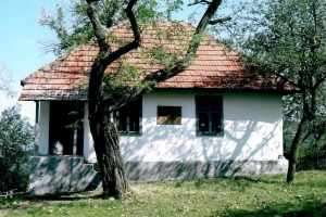 1-Dulene-kuca