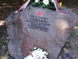 Jabuka-3