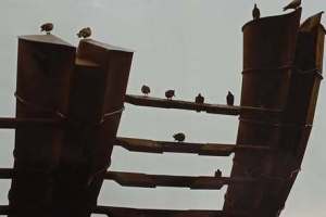 604257745_1223940332955235_7159224719435465349_n