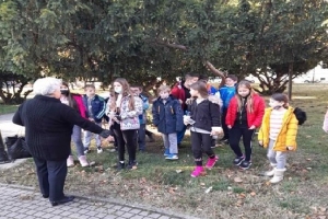 negotin-02