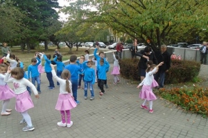 negotin-6