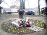 Пирот-3