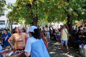 IMG_20260802_121755