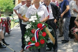 vojka-1