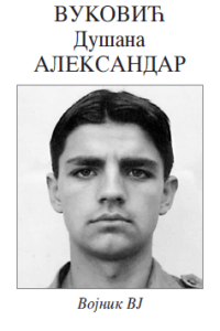 Погинуо Александар Вуковић